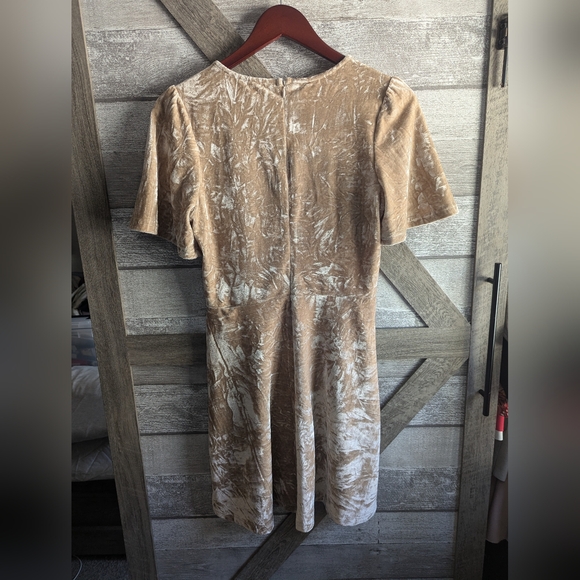 Le Lis Crushed Velvet Dress - Picture 2 of 5